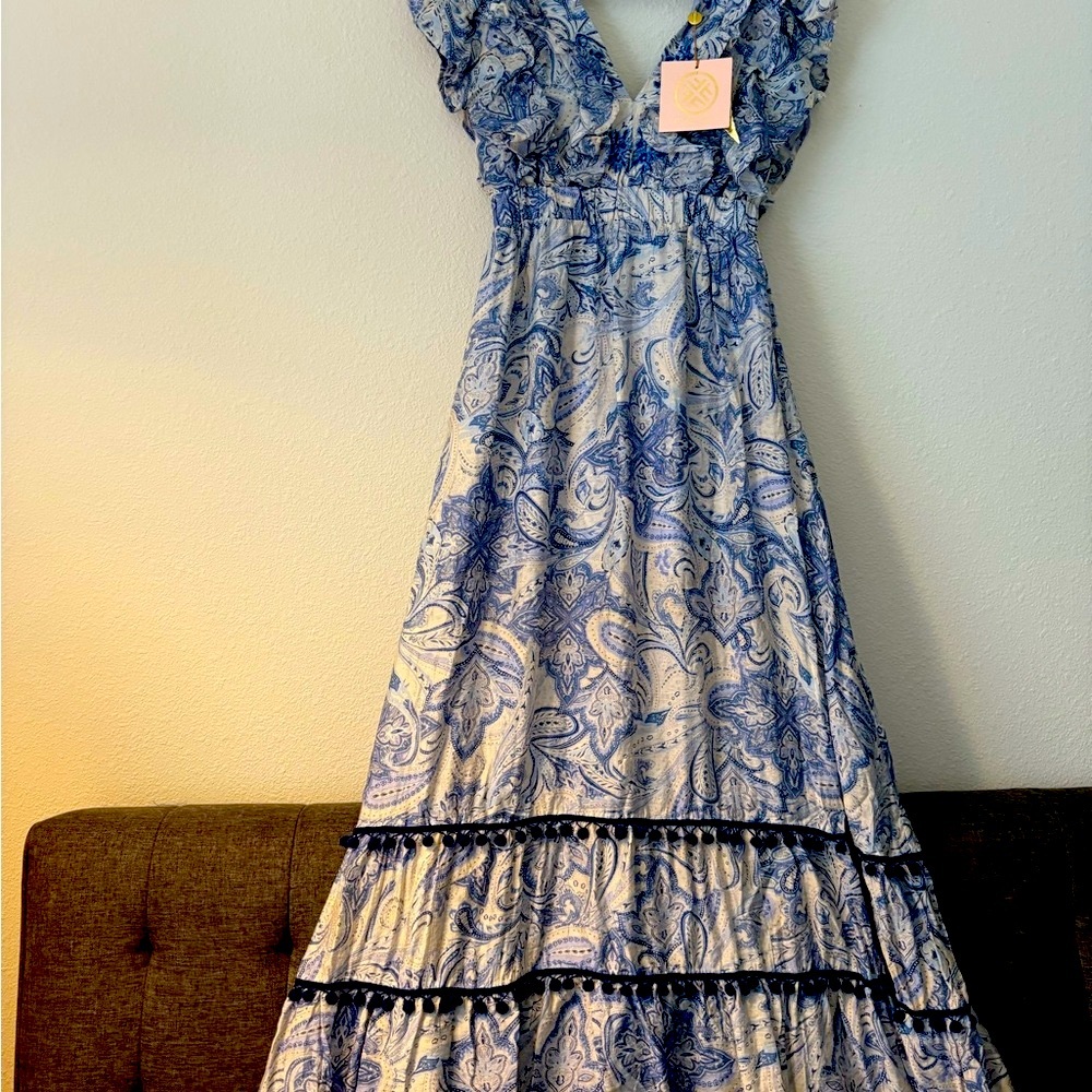 Fetiche Suances Blue and White Paisley Maxi Dress